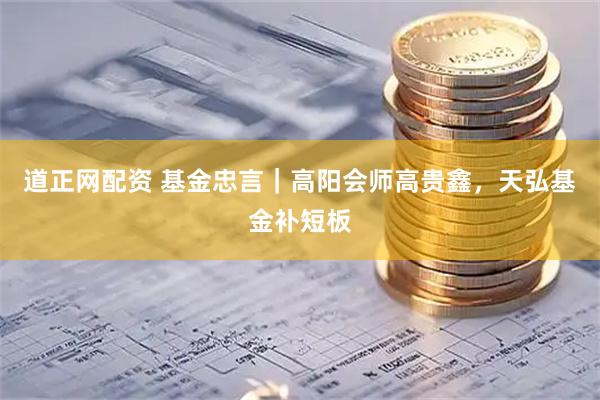 道正网配资 基金忠言｜高阳会师高贵鑫，天弘基金补短板