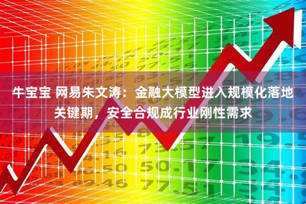 牛宝宝 网易朱文涛：金融大模型进入规模化落地关键期，安全合规成行业刚性需求