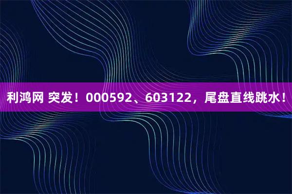 利鸿网 突发！000592、603122，尾盘直线跳水！