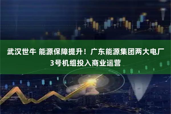 武汉世牛 能源保障提升！广东能源集团两大电厂3号机组投入商业运营