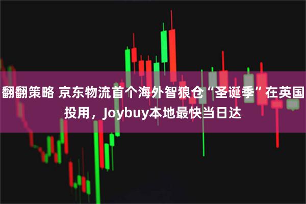 翻翻策略 京东物流首个海外智狼仓“圣诞季”在英国投用，Joybuy本地最快当日达