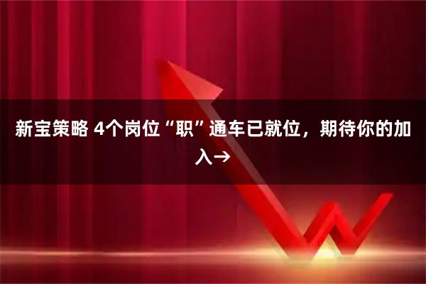 新宝策略 4个岗位“职”通车已就位，期待你的加入→