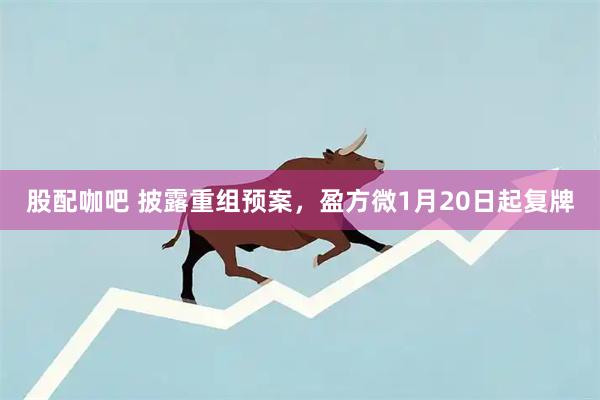 股配咖吧 披露重组预案，盈方微1月20日起复牌